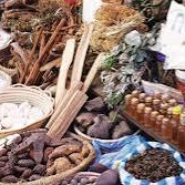 herbs